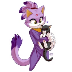 Size: 1080x1080 | Tagged: safe, artist:solar socks, blaze the cat, cat, ambiguous gender, female, literal animal, movie style