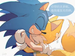 Size: 1740x1291 | Tagged: safe, artist:c52278, miles "tails" prower, sonic the hedgehog, 2021, blushing, chinese text, clenched teeth, cute, dialogue, duo, eyes closed, gay, hugging, shipping, smile, sonabetes, sonic x tails, standing, tailabetes