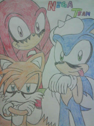 Size: 827x1104 | Tagged: safe, artist:fernandathehedgehog, knuckles the echidna, miles "tails" prower, sonic the hedgehog, echidna, fox, hedgehog, nega form, team sonic, traditional media