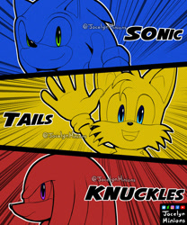 Size: 816x979 | Tagged: safe, artist:jocelynminions, knuckles the echidna, miles "tails" prower, sonic the hedgehog, echidna, fox, hedgehog, character name, male, team sonic
