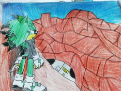Size: 1024x768 | Tagged: safe, artist:theoneandonlycactus, oc, oc:cactus the hedgehog, hedgehog, fingerless gloves, gloves, green eyes, green fur, jacket, male, shoes, socks, traditional media