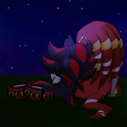 Size: 2048x2048 | Tagged: safe, artist:renegadeknucks, knuckles the echidna, shadow the hedgehog, abstract background, back view, duo, gay, grass, knuxadow, leaning on them, nighttime, outdoors, shipping, sitting, star (sky)