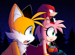 Size: 1030x757 | Tagged: safe, artist:sanssupremacy, amy rose, knuckles the echidna, miles "tails" prower, abstract background, looking ahead, mouth open, nighttime, outdoors, outline, redraw, sonic x, tree, trio