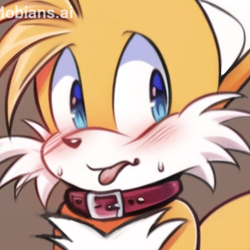 Size: 2048x2048 | Tagged: safe, ai art, artist:mobians.ai, miles "tails" prower, fox, blushing, brown background, collar, icon, looking back, male, mobius.social exclusive, prompter:taeko, simple background, smile, solo, sweatdrop, tongue out