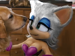 Size: 1199x900 | Tagged: dead source, safe, artist:missterblister, ozzy the dog, rouge the bat, bat, dog, sonic the hedgehog (2020), duo, edit, female, literal animal, male, petting, smile