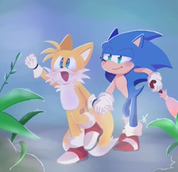 Size: 720x694 | Tagged: safe, artist:giaoux, miles "tails" prower, sonic the hedgehog, 2023, abstract background, blushing, duo, gay, holding hands, holding something, outdoors, plant, shipping, signature, smile, sonic x tails, umbrella, walking