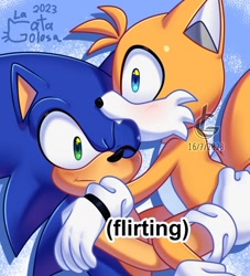 Size: 640x706 | Tagged: dead source, safe, artist:la_gata_golosa_, miles "tails" prower, sonic the hedgehog, fox, hedgehog, :|, abstract background, biting, blushing, duo, fangs, flirting meme, gay, holding them, male, males only, meme, one eye closed, shipping, sonic x tails, watermark