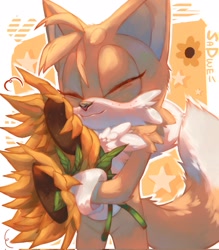 Size: 1795x2048 | Tagged: safe, artist:sadw_e, miles "tails" prower, 2023, :3, abstract background, cute, eyes closed, flower, freckles, hugging, lineless, outline, smile, solo, standing, star (symbol), sunflower, tailabetes