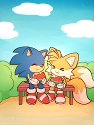 Size: 1536x2048 | Tagged: dead source, safe, artist:tetsuchibimori, miles "tails" prower, sonic the hedgehog, fox, hedgehog, 2023, abstract background, bench, bush, clouds, cute, daytime, duo, eating, eyes closed, food, gay, holding something, male, males only, outdoors, shipping, sitting, smile, sonabetes, sonic x tails, sparkles, tailabetes, watermelon