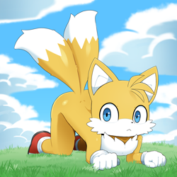 Size: 2000x2000 | Tagged: safe, artist:sum, miles "tails" prower