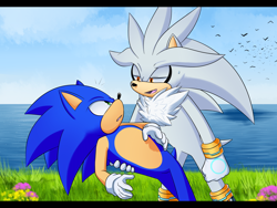 Size: 2000x1500 | Tagged: safe, artist:fire-for-battle, silver the hedgehog, sonic the hedgehog, bird, 2023, abstract background, duo, duo male, flower, gay, grass, holding them, lidded eyes, literal animal, looking at each other, male, males only, shipping, sonilver, surprised, water