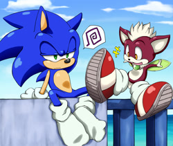 Size: 1205x1016 | Tagged: safe, artist:shoppaaaa, chip, sonic the hedgehog, shoes, shoes off