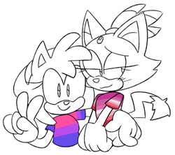 Size: 540x480 | Tagged: safe, artist:gaysilver, amy rose, blaze the cat, cat, hedgehog, 2017, amy x blaze, bisexual pride, cute, female, females only, lesbian, lesbian pride, looking at viewer, peace sign, pride, shipping, sketch, t-shirt