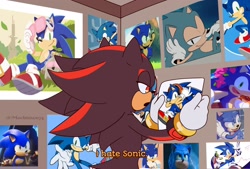 Size: 2048x1384 | Tagged: safe, artist:mochiuwu74, shadow the hedgehog, 2023, abstract background, dialogue, english text, holding something, i hate x, implied gay, implied sonadow, indoors, meme, photo, solo, standing