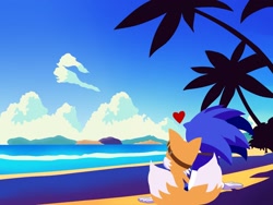 Size: 1600x1200 | Tagged: safe, artist:shouta_tanyu, miles "tails" prower, sonic the hedgehog, 2023, abstract background, clouds, daytime, duo, gay, heart, lineless, looking ahead, outdoors, palm tree, shipping, sitting, sonic boom (tv), sonic x tails