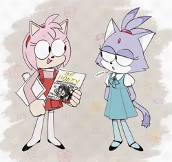 Size: 1947x1837 | Tagged: safe, artist:lynaems, amy rose, blaze the cat, honey the cat, cat, hedgehog, 2023, amy x blaze, cute, female, females only, flowers, lesbian, looking at each other, poster, shipping