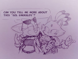 Size: 2048x1567 | Tagged: safe, artist:beigerabbit21, blaze the cat, rouge the bat, the murder of sonic the hedgehog, dialogue, duo, english text, looking at each other