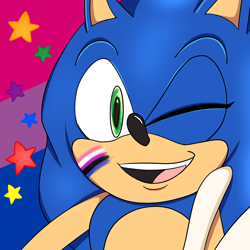 Size: 2048x2048 | Tagged: safe, artist:tropicpenguiin, sonic the hedgehog, bisexual, bisexual pride, face paint, genderfluid, genderfluid pride, icon, looking at viewer, mouth open, pride, pride flag background, smile, solo, star (symbol), v sign, wink