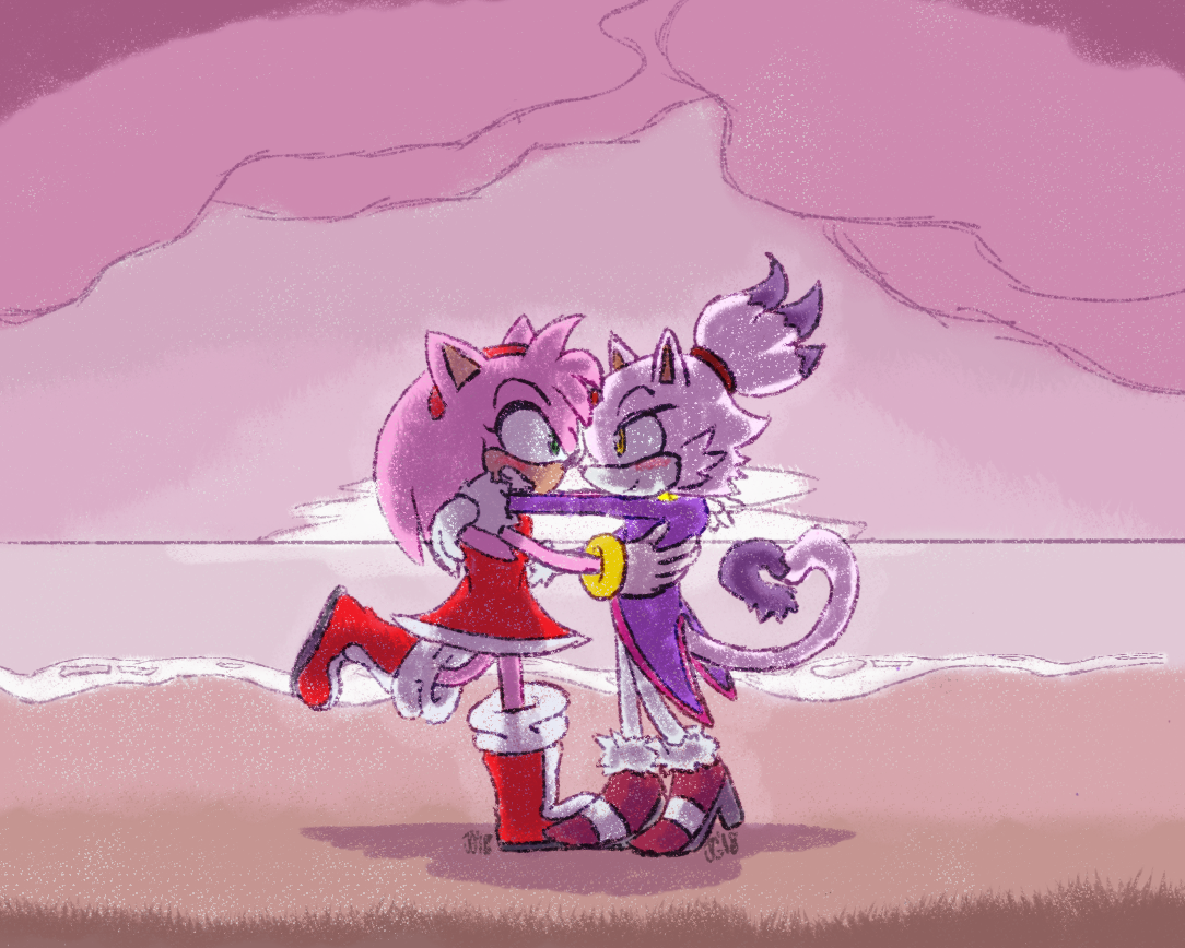 165556 - safe, artist:mobianjelly, amy rose (sonic), blaze the cat