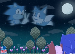 Size: 1493x1083 | Tagged: safe, artist:swyne-mysticfox, miles "tails" prower, sonic the hedgehog, 2021, 30th anniversary, abstract background, anniversary, duo, flower, good end, hand on another's head, moon, nighttime, outdoors, sonic the hedgehog 2 (8bit), star (sky), tree