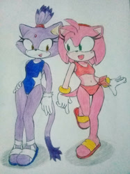 Size: 1280x1707 | Tagged: safe, artist:rose-factor, amy rose, blaze the cat, cat, hedgehog, 2021, amy x blaze, bikini, cute, female, females only, lesbian, sandals, shipping, swimsuit, traditional media