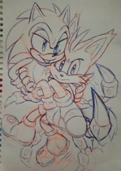Size: 1446x2048 | Tagged: safe, artist:lebluenooki, miles "tails" prower, nine, sonic the hedgehog, sonic prime, 2023, carrying them, duo, frown, lidded eyes, looking offscreen, sketch, smile, tongue out, traditional media