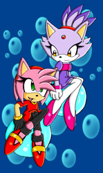 Size: 795x1337 | Tagged: safe, artist:asb-fan, amy rose, blaze the cat, cat, hedgehog, 2009, amy x blaze, bubbles, cute, female, females only, lesbian, looking at them, shipping