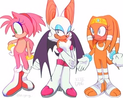 Size: 2500x2000 | Tagged: safe, artist:ikiigang, amy rose, rouge the bat, tikal, echidna, boots, chest fluff, crescent chest mark, featureless, gloves, hairband, natural alt, natural amy rose, natural outfit, natural rouge the bat, natural tikal, orange fur, outfit swap, redesign, sandals, watermark, white background, white fur