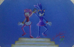 Size: 1280x812 | Tagged: safe, artist:thephantom1890, amy rose, blaze the cat, cat, hedgehog, 2019, amy x blaze, cute, female, females only, gymnastic outfit, holding hands, lesbian, mario & sonic at the olympic games, shipping, traditional media