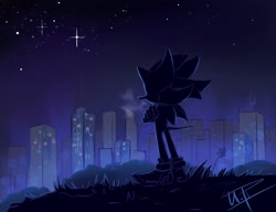 Size: 2048x1570 | Tagged: safe, artist:ira_theartist, shadow the hedgehog, abstract background, arms folded, back view, cityscape, grass, looking offscreen, nighttime, outdoors, signature, solo, standing, star (sky), westopolis