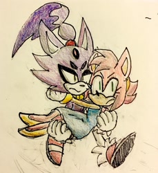Size: 1172x1280 | Tagged: safe, artist:fleetways, amy rose, blaze the cat, cat, hedgehog, 2017, amy x blaze, angry, blaze's tailcoat, carrying them, cute, dress, female, females only, lesbian, looking at something, shipping, traditional media