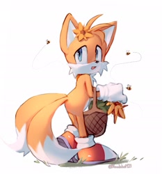 Size: 1797x1926 | Tagged: safe, artist:bloodshot121, miles "tails" prower, bee, 2023, basket, cute, flower, grass, insect, literal animal, mouth open, signature, simple background, solo, tailabetes, walking, white background