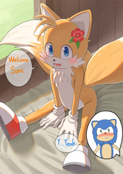 Size: 3500x4950 | Tagged: safe, artist:hoyahoya, miles "tails" prower, sonic the hedgehog, abstract background, bed, blushing, chest fluff, cute, dialogue, duo, english text, flower, flower in ear, gay, indoors, looking at viewer, mouth open, nosebleed, offscreen character, shipping, shrunken pupils, sitting, smile, solo focus, sonic x tails, speech bubble, tailabetes, window