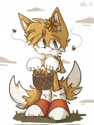 Size: 1534x2048 | Tagged: safe, artist:k4i__xx, miles "tails" prower, bee, 2023, basket, blushing, clouds, eyebrow clipping through hair, flower, flower in ear, grass, holding something, literal animal, looking at viewer, outdoors, redraw, smile, solo, standing, sunflower