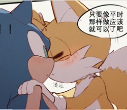 Size: 992x860 | Tagged: safe, artist:c52278, miles "tails" prower, sonic the hedgehog, 2021, blushing, chinese text, dialogue, duo, exclamation mark, eyes closed, gay, hands on another's shoulders, imminent kissing, looking at them, shipping, sonic x tails, standing