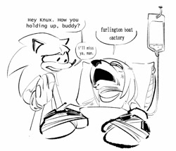 Size: 2000x1712 | Tagged: semi-grimdark, artist:thehydroxian, knuckles the echidna, sonic the hedgehog, dialogue, english text, hospital bed, looking at them, the naked gun