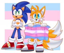 Size: 1680x1401 | Tagged: safe, artist:crazygreenfluff, miles "tails" prower, sonic the hedgehog, 2023, abstract background, duo, gay, headcanon, heart hands, holding something, looking at viewer, pride, pride flag, pride flag background, shipping, smile, sonic x tails, standing, trans male, trans pride, transgender
