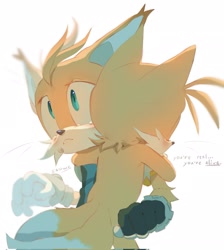 Size: 1839x2048 | Tagged: safe, artist:sadw_e, miles "tails" prower, nine, sonic prime, 2024, crying, cute, dialogue, duo, english text, frown, hugging, self paradox, signature, simple background, tailabetes, tears, tears of sadness, white background