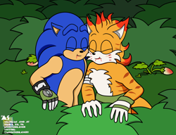 Size: 2048x1575 | Tagged: safe, artist:moontigerange1, mangey, miles "tails" prower, sonic the hedgehog, sonic prime, 2023, bush, duo, eyes closed, gay, juice, shipping, smile, songey, sonic x tails, strawberry