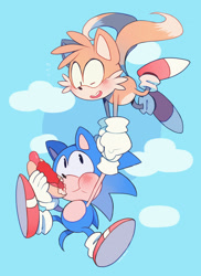 Size: 1280x1759 | Tagged: safe, artist:sony-shock, miles "tails" prower, sonic the hedgehog, abstract background, blushing, carrying them, chili dog, clouds, commission, cute, duo, eating, flying, food, outdoors, smile, sonabetes, spinning tails, tailabetes, wink