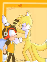 Size: 777x1029 | Tagged: safe, artist:yarat14, charmy bee, miles "tails" prower, abstract background, blushing, chaails, duo, flapping wings, frown, gay, heart, looking at each other, ship name, shipping, signature, smile, standing