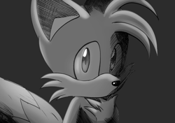 Size: 2048x1443 | Tagged: safe, artist:suzienightsky, miles "tails" prower, alternate version, grey background, greyscale, looking at viewer, monochrome, simple background, solo