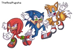 Size: 843x583 | Tagged: safe, artist:pupshasketches, knuckles the echidna, miles "tails" prower, sonic the hedgehog, sonic heroes, posing, redraw, signature, simple background, team sonic, trio, white background