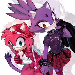 Size: 2021x2048 | Tagged: safe, artist:n_jiujiu99, amy rose, blaze the cat, cat, hedgehog, 2024, amy x blaze, cute, female, females only, lesbian, looking at them, looking at viewer, shipping