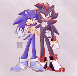 Size: 1793x1780 | Tagged: safe, artist:pastelspindash, shadow the hedgehog, sonic the hedgehog, sonic prime, 2024, cheek fluff, chest fluff, duo, frown, gay, holding each other, looking offscreen, redraw, shadow x sonic, shipping, signature, smile, sonic prime s3, standing, top surgery scars, trans male, transgender