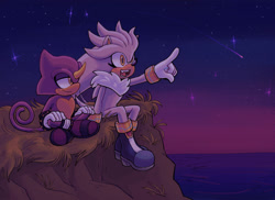 Size: 2048x1489 | Tagged: safe, artist:frostiios, espio the chameleon, silver the hedgehog, cliff, commission, duo, gay, nighttime, ocean, outdoors, pointing, shipping, shooting star, silvio, sitting, smile, star (sky), stargazing