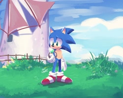Size: 2048x1638 | Tagged: safe, artist:lou_lubally, sonic the hedgehog, sonic unleashed, 2021, chip's necklace, clouds, daytime, grass, holding something, looking at something, outdoors, smile, solo, standing, windmill