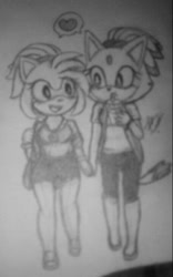 Size: 455x728 | Tagged: safe, artist:maskedcassius, amy rose, blaze the cat, cat, hedgehog, 2018, amy x blaze, cute, female, females only, heart, holding hands, lesbian, looking at them, mouth open, shipping, sketch, traditional media