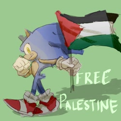 Size: 2048x2048 | Tagged: safe, artist:artbluecyan, sonic the hedgehog, 2024, country flag, flag, free palestine, green background, holding something, looking at viewer, palestine flag, simple background, solo, walking