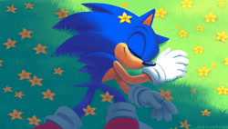 Size: 2048x1167 | Tagged: safe, artist:siggiedraws, sonic the hedgehog, abstract background, eyes closed, flower, grass, lineless, lying down, lying on side, male, outdoors, smile, solo